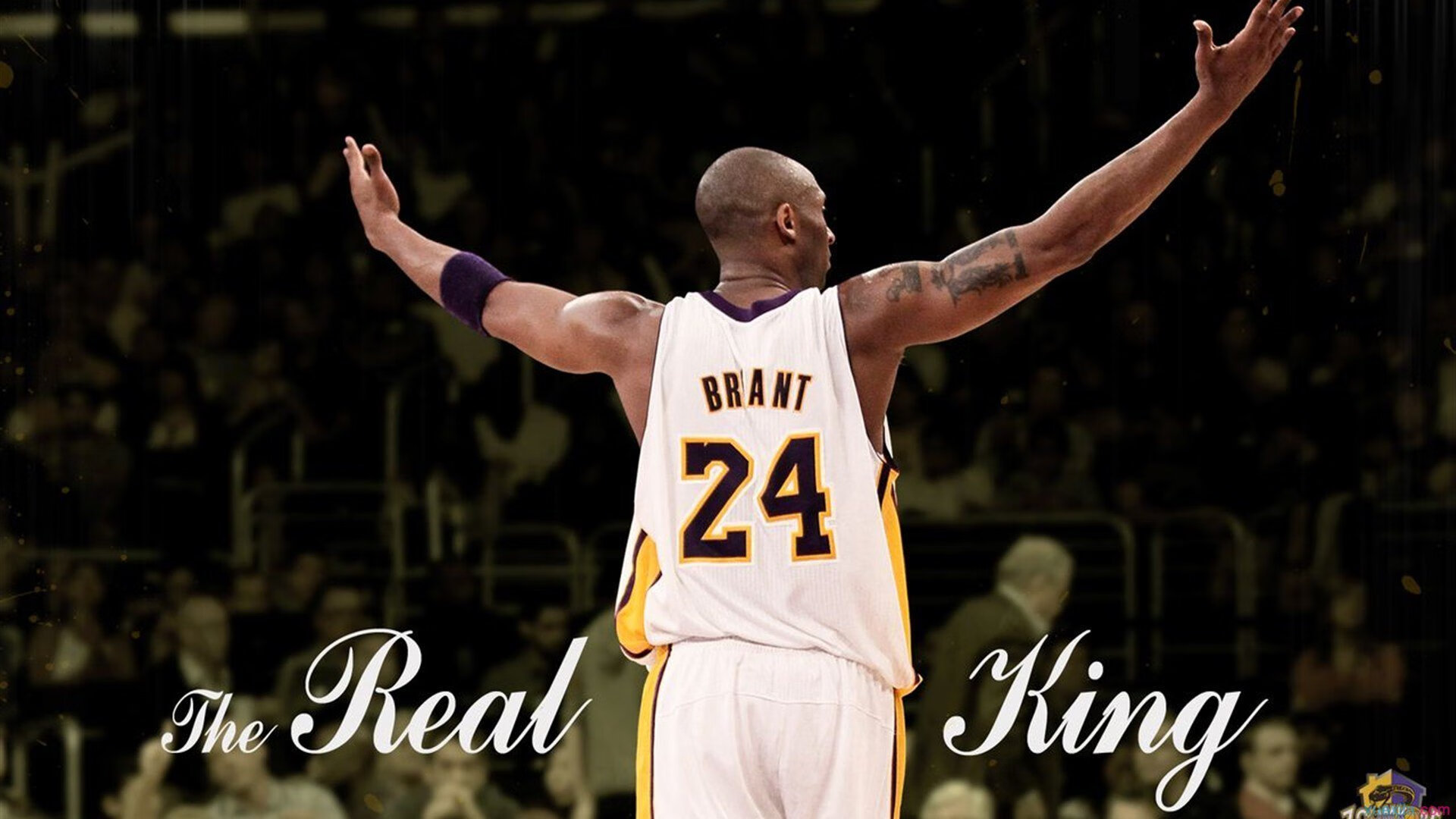 NBA球队努力提升联赛排名